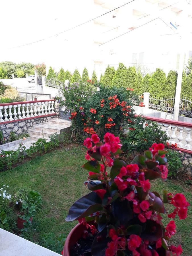 Alvanita Apartments Ulcinj Exterior foto